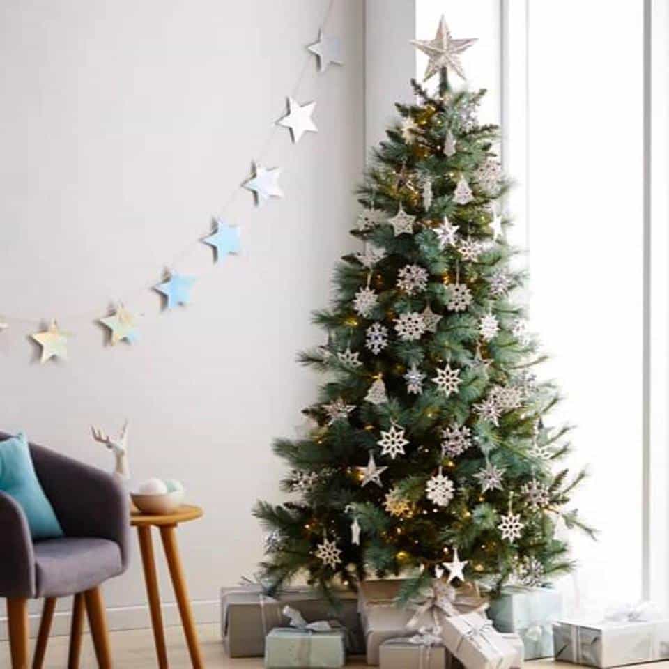 Is there a predator under your Christmas tree?